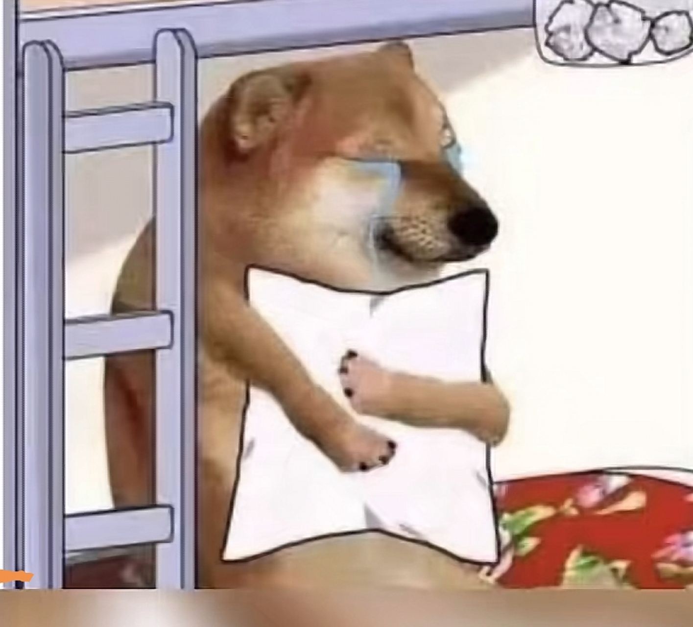 表情包小狗cheems去世,他的主人将把筹集的医疗费捐给当地的动物慈善