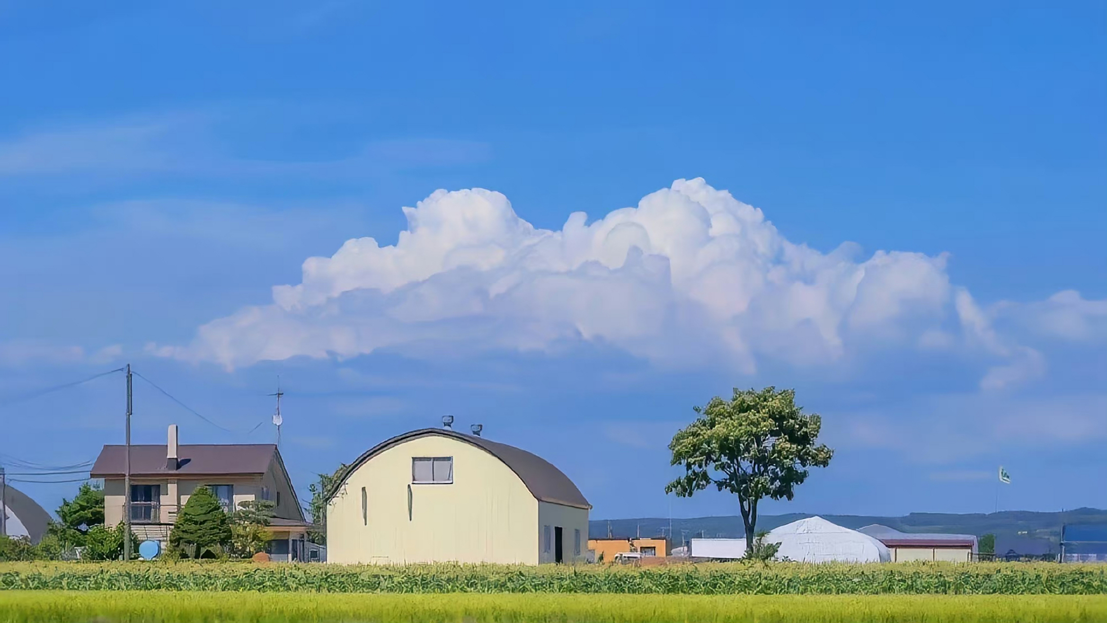 电脑壁纸推荐[鲜花][鲜花][鲜花]  清新好看的壁纸,喜欢就换上吧!