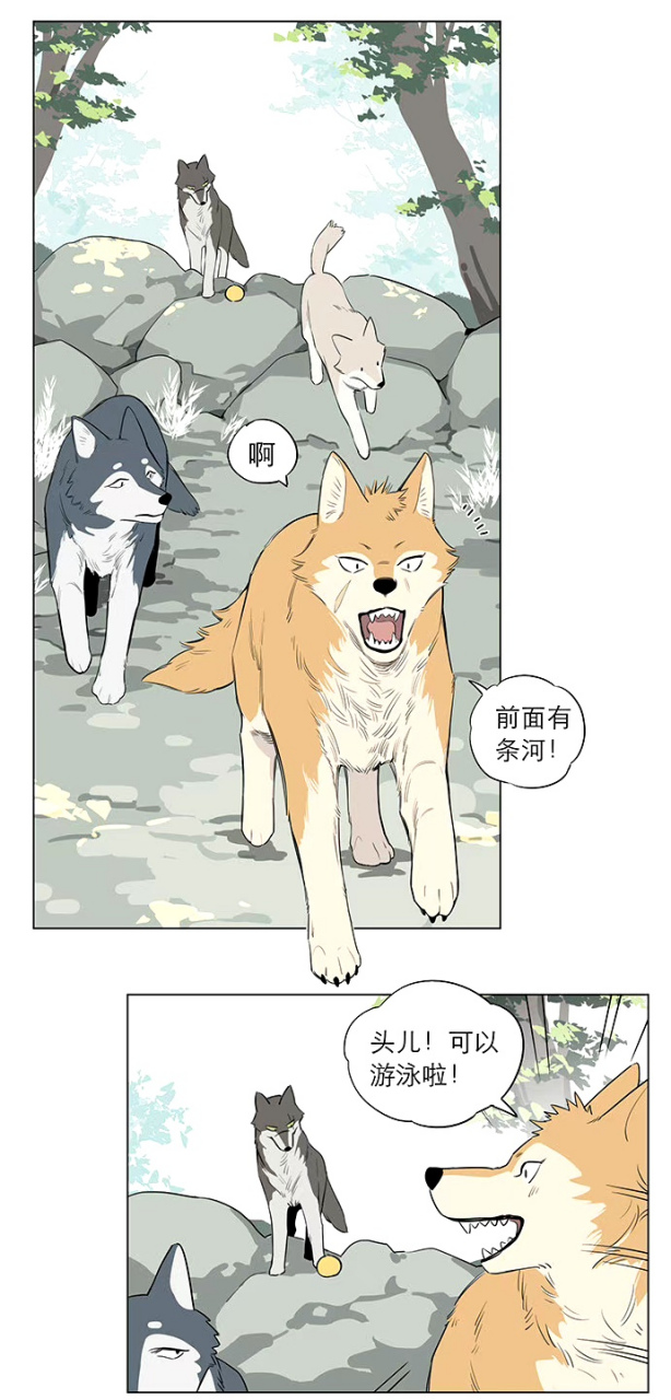 小黄被打得有点冤!  #漫画# #捡了东西的狼#   作者:麻尾