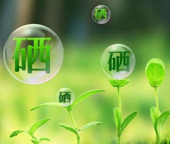 浅谈硒在植物生中的拮抗作用