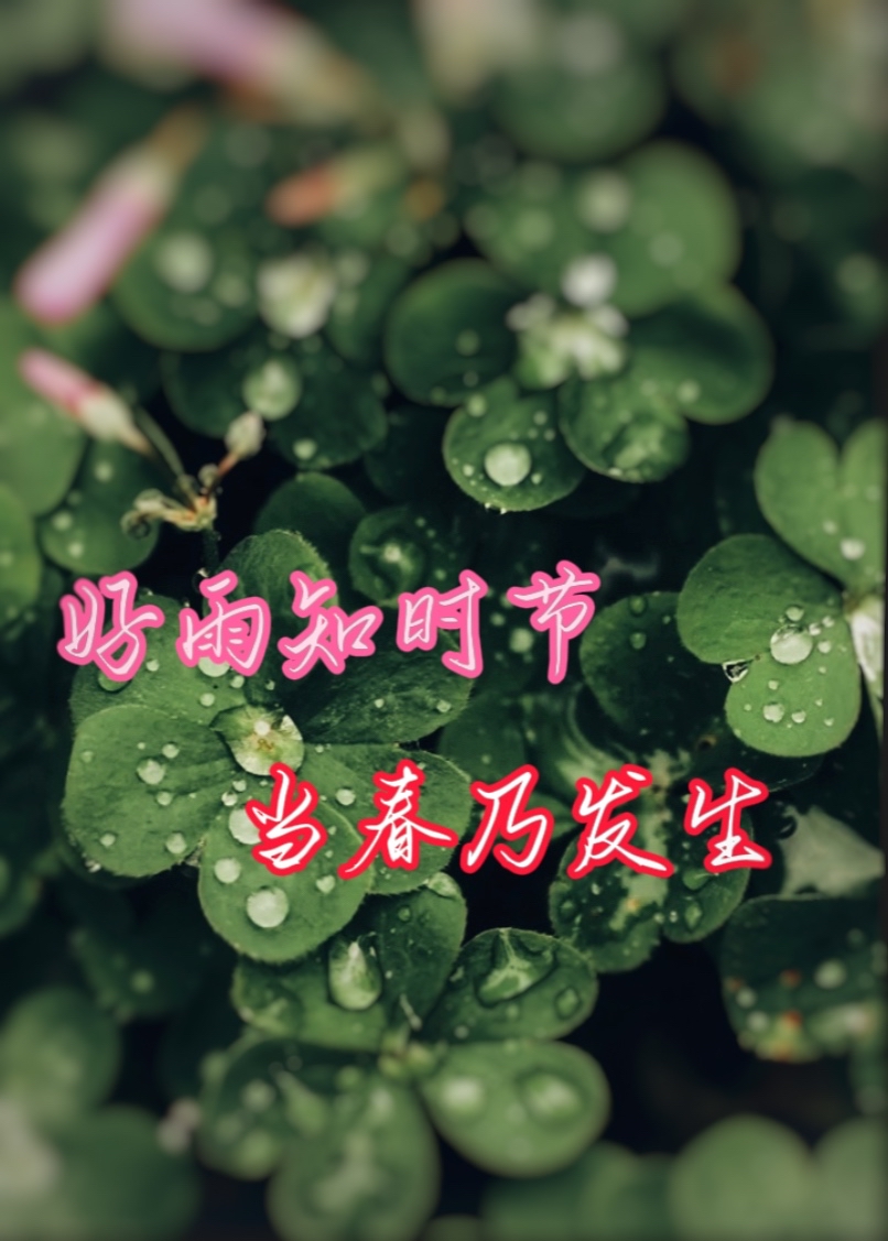 早上好,今天北京雨15