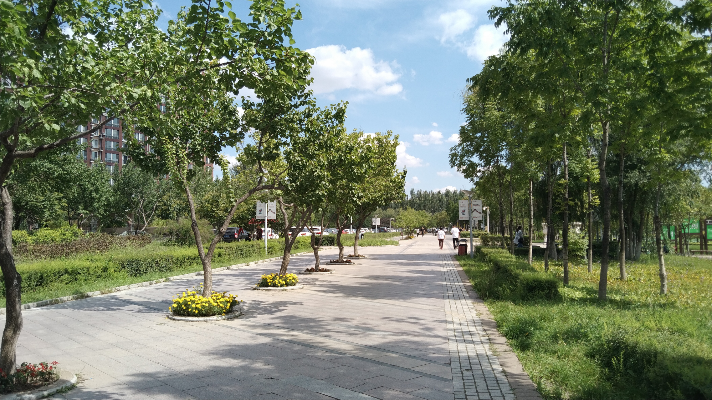 三佳湖公园位于长春市朝阳区,周围有好几个大学,园里时常能看到大学生