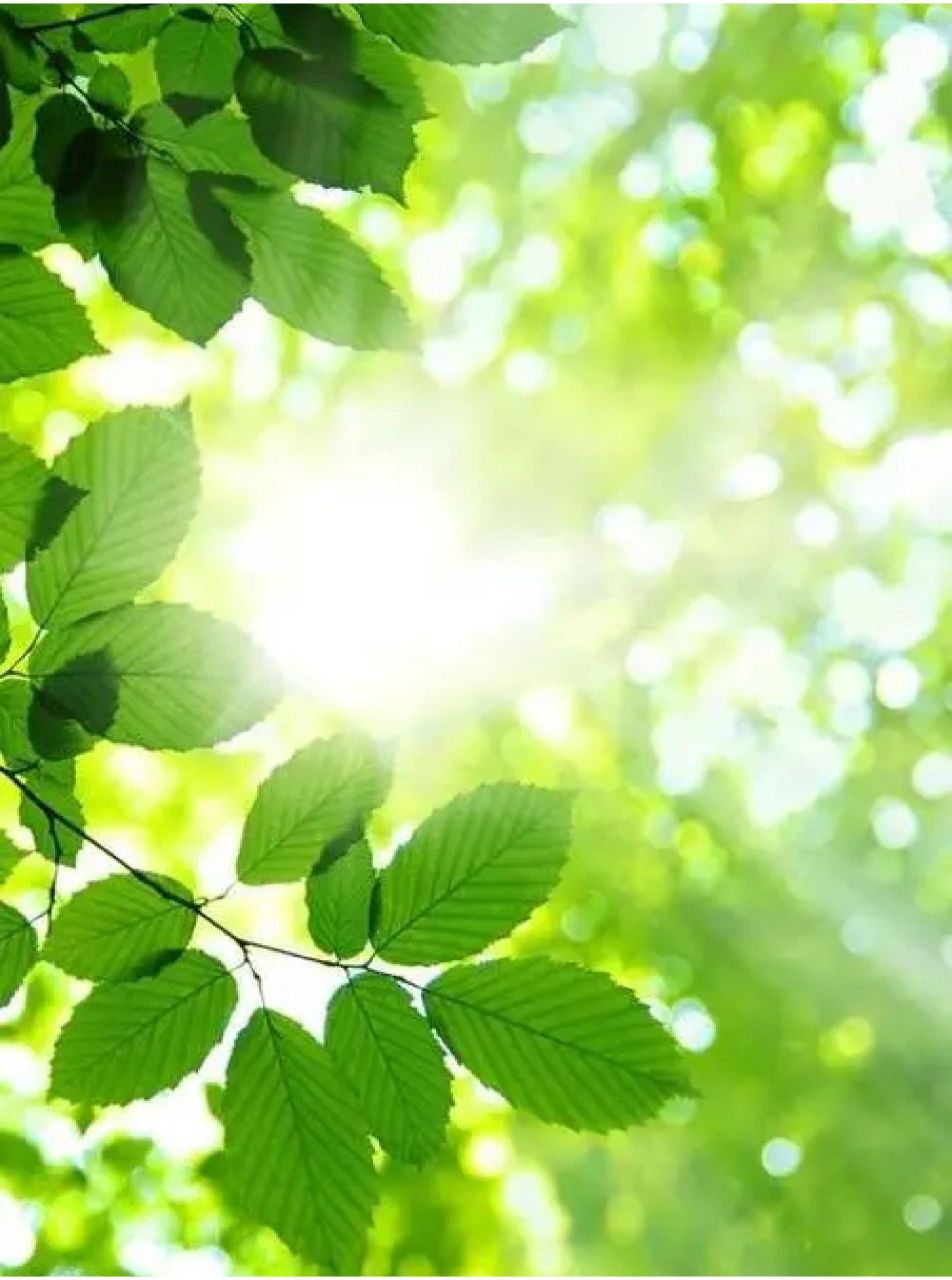 952_1280竖版 竖屏