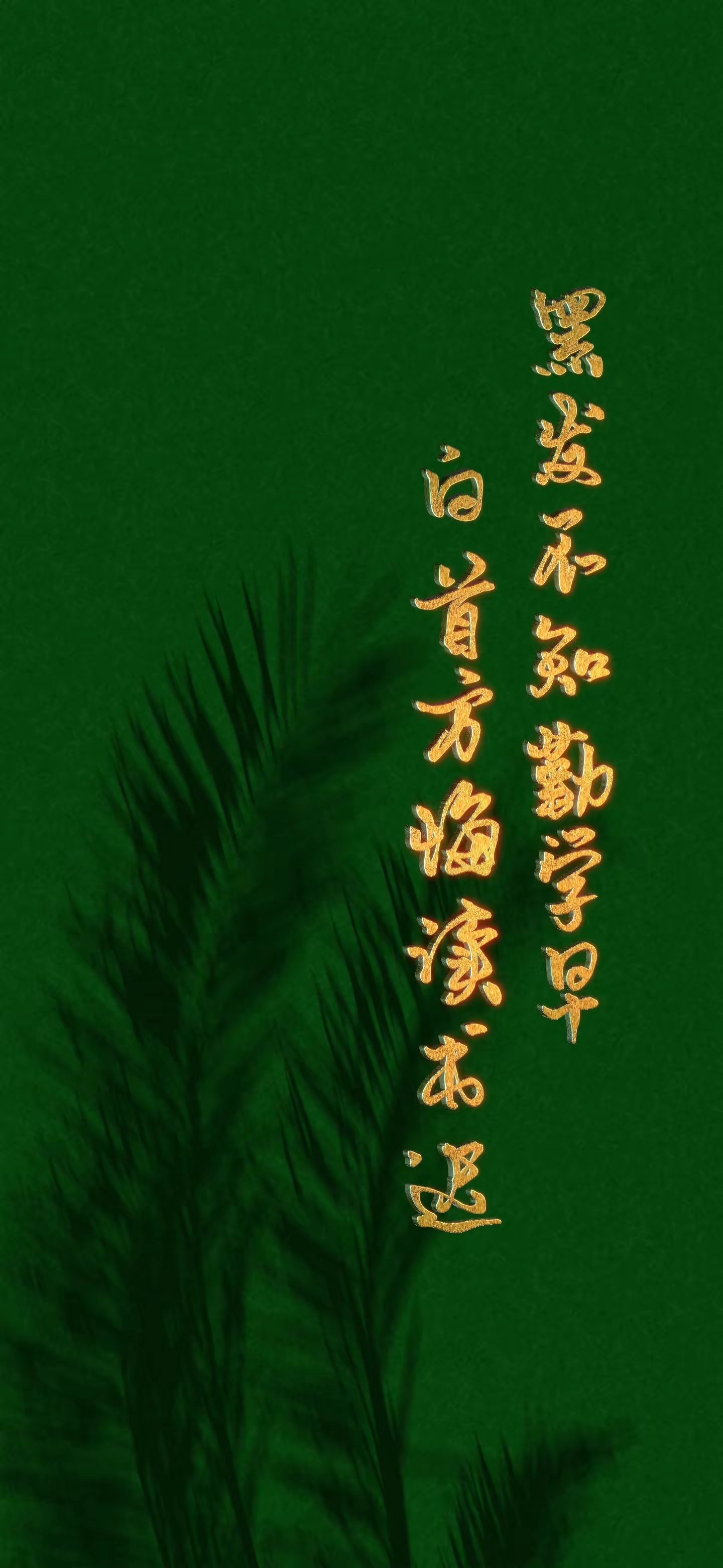 文字壁纸