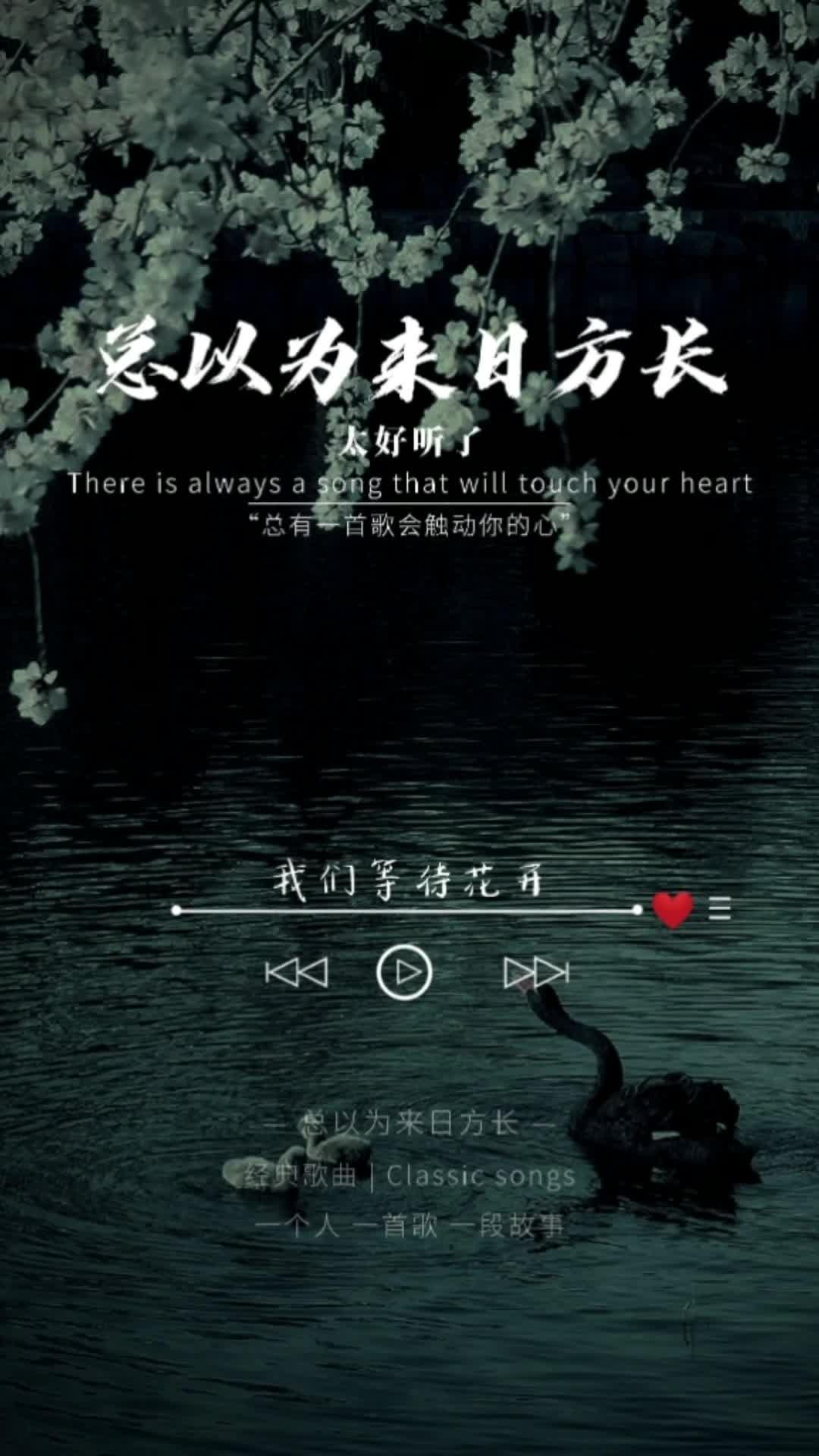 我们不慌不忙,总以为来日方长