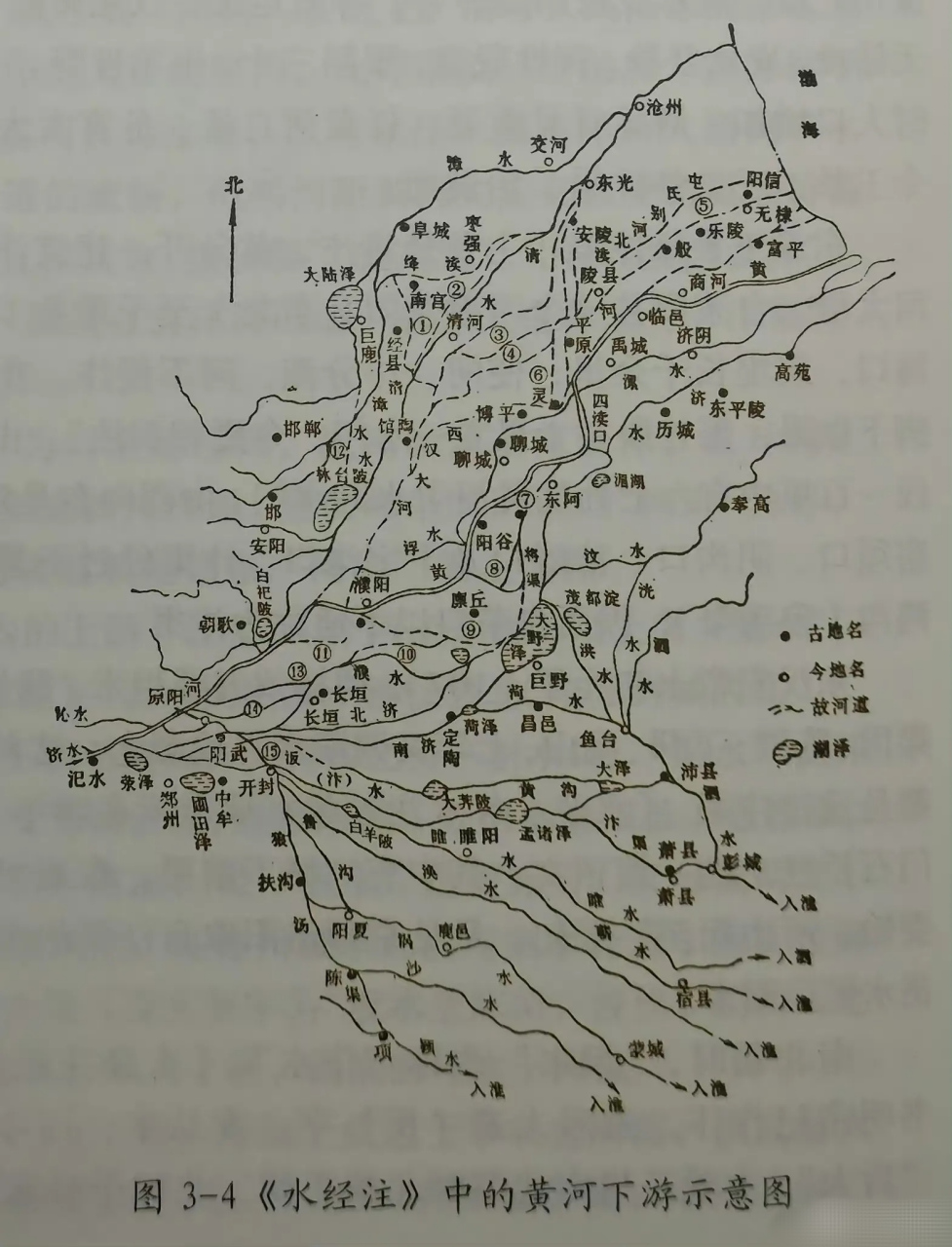 山东省黄河大堤路线图图片