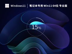 Win 11 64位 中文专业版（免激活）V2023.02 官方特别优化版