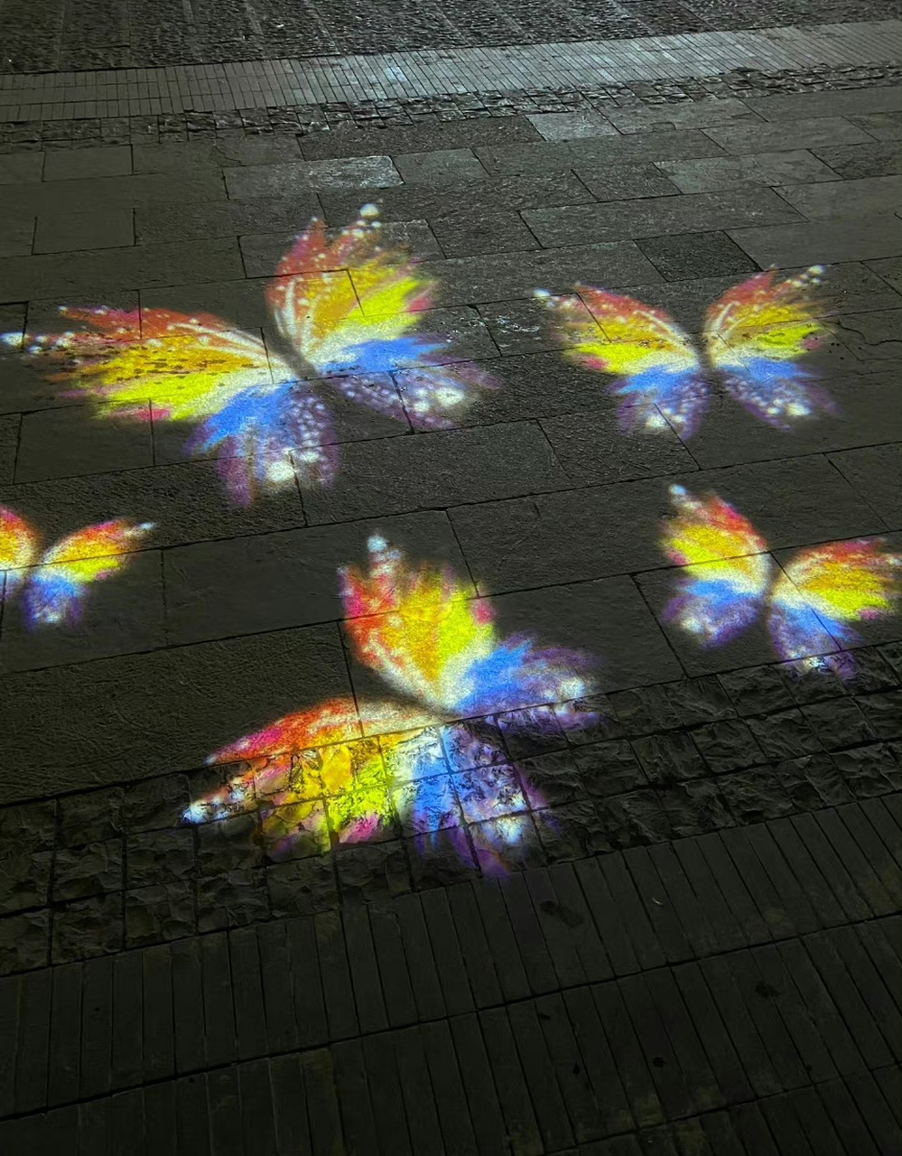 好美好美的蝴蝶投影.