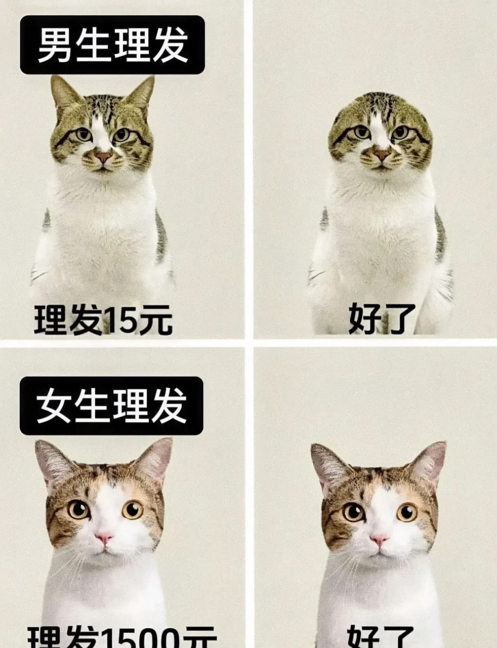 男生和女生理发的区别!简直不要太形象[左捂脸][捂脸]