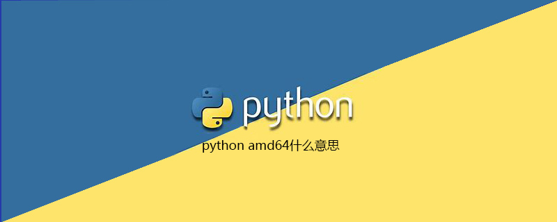 python amd64的含义