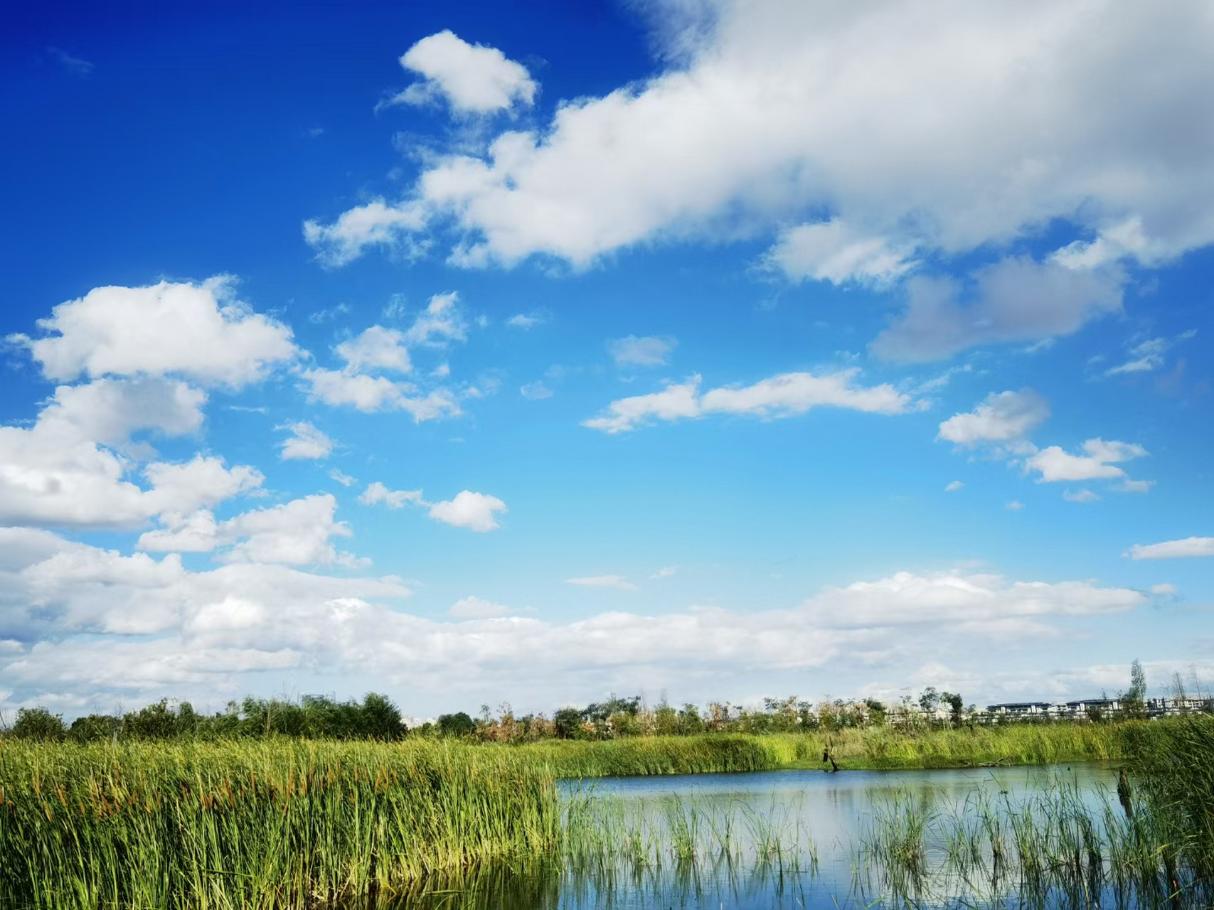 夏天的热,只有美丽的天空能解
