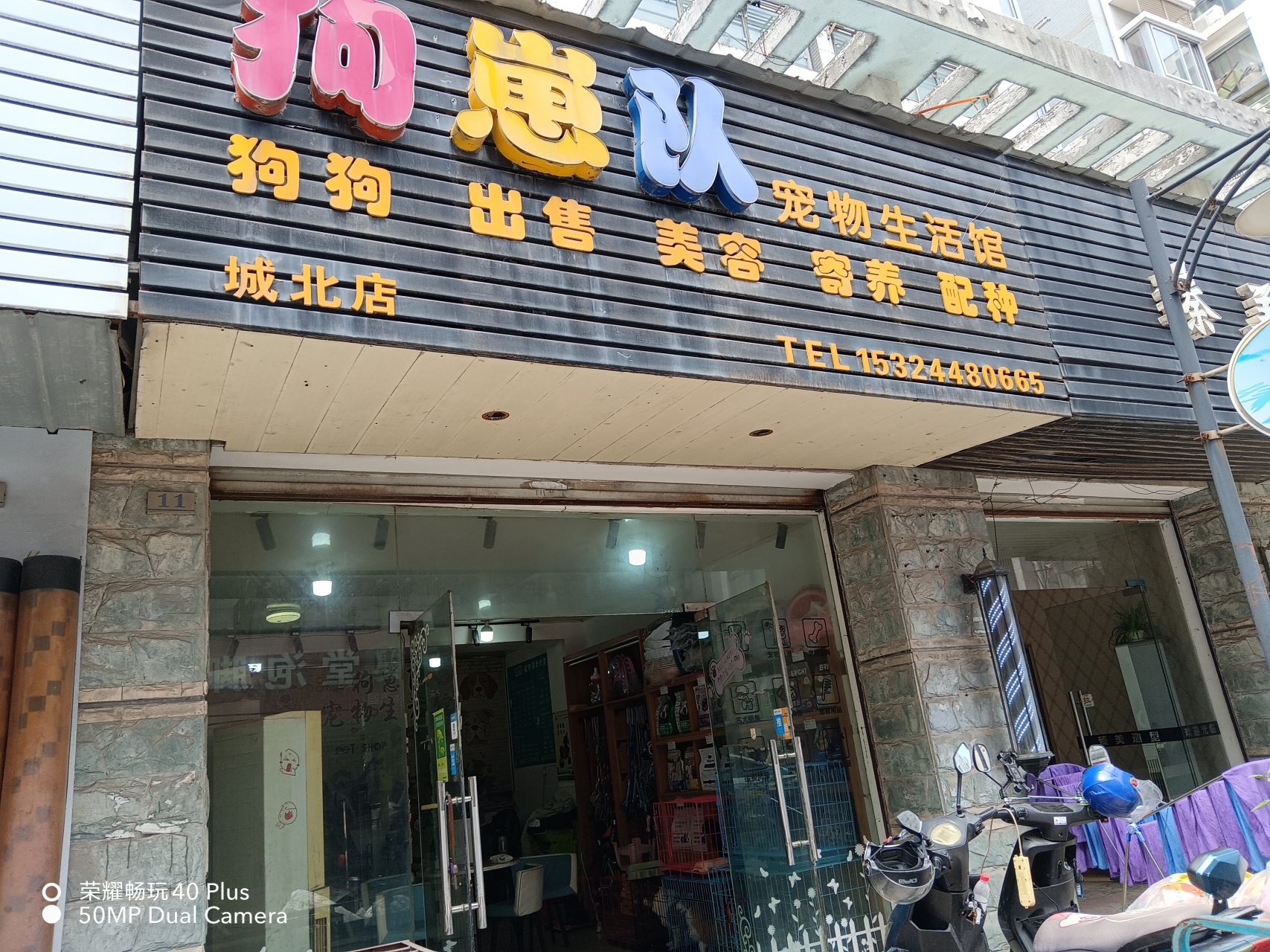 带爱犬黑子美容.他胆子小怕电刀的声音.