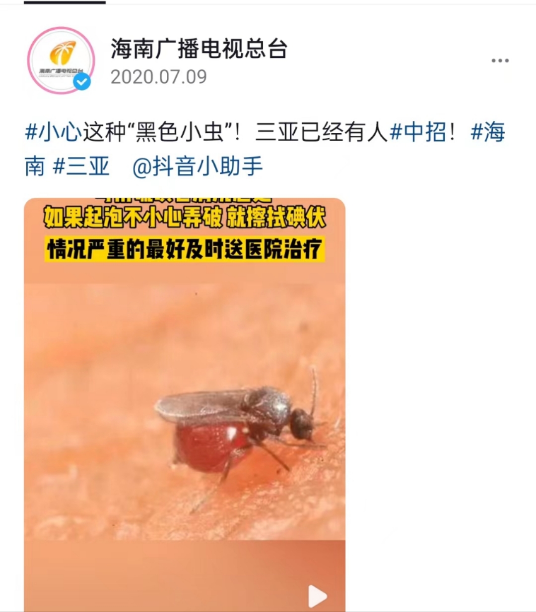 槟榔虫叮咬后怎么办图片