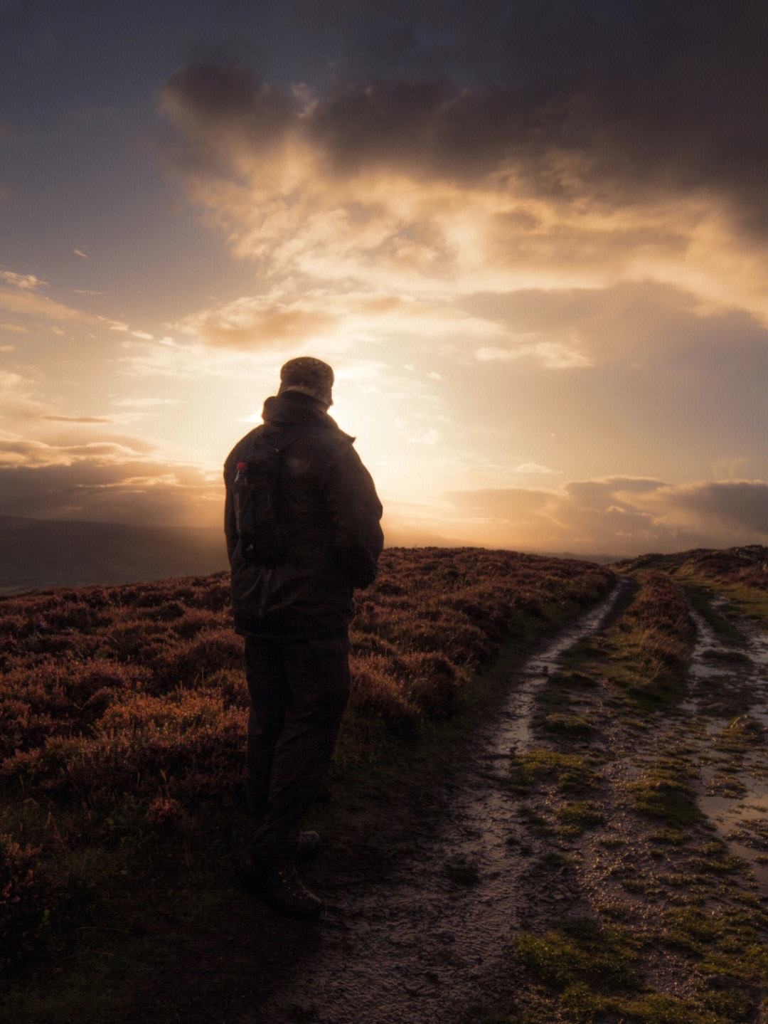 长月烬明孤独症男主