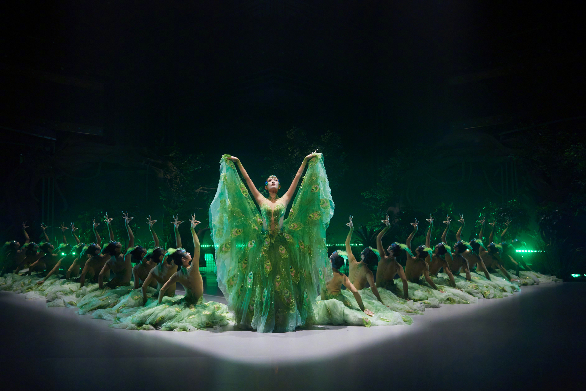 关晓彤与杨丽萍合作,表演了《雀之灵》#杨丽萍教关晓彤孔雀舞