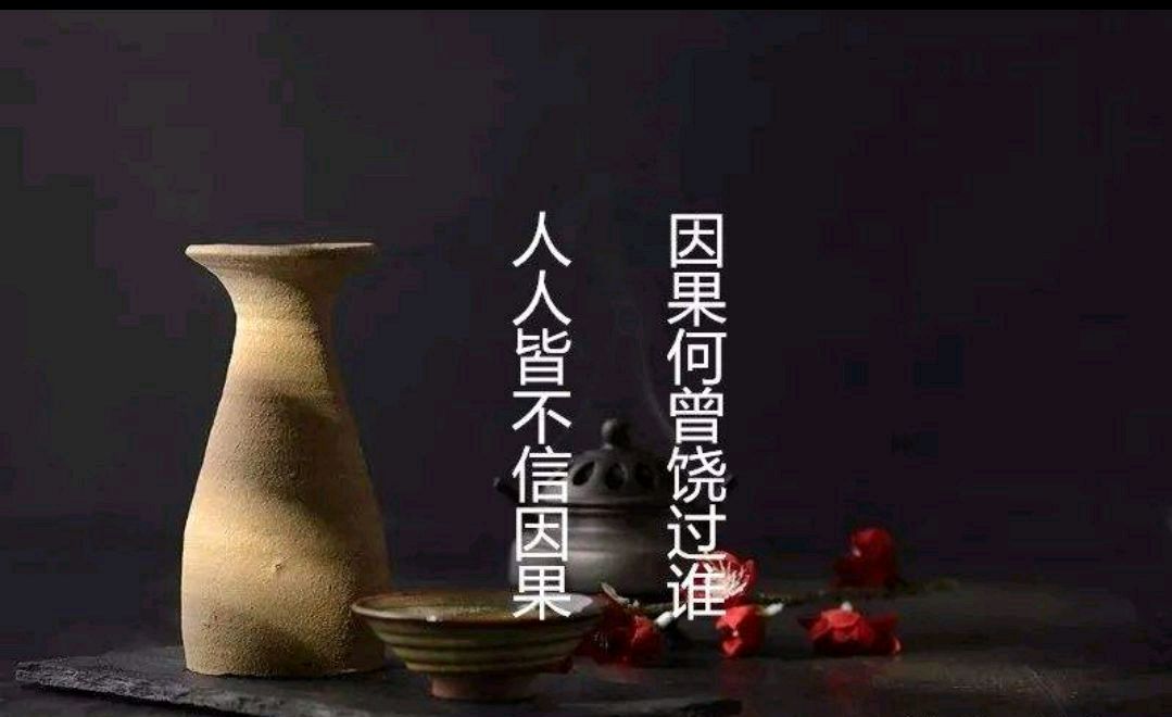 世间万物皆是因果,种瓜得瓜,种豆得豆,看懂因果,就能读懂人生