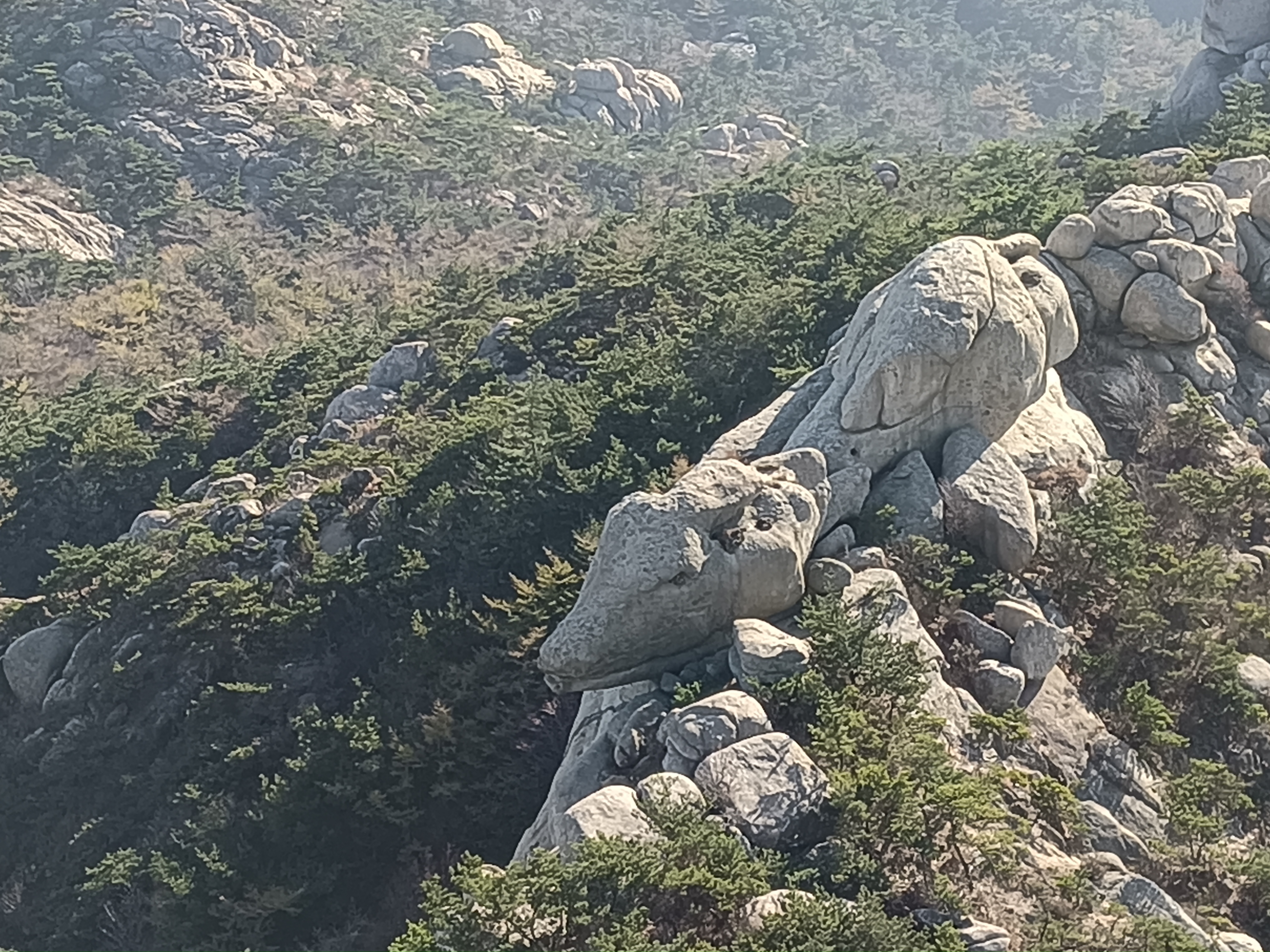 山海奇观石头图片