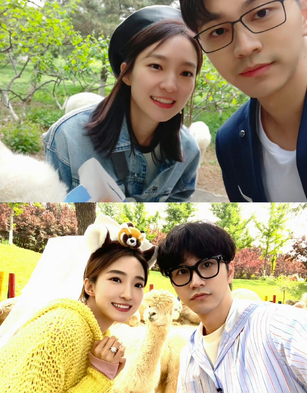 "琦雯cp"520发糖,赵琦君求婚成功,抱得美人归.