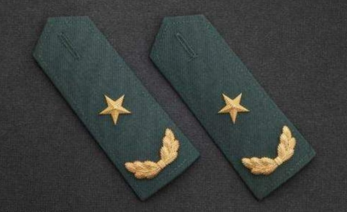 "红二代"金一南:陆军少将军衔,原国防大学教授,现状如何?