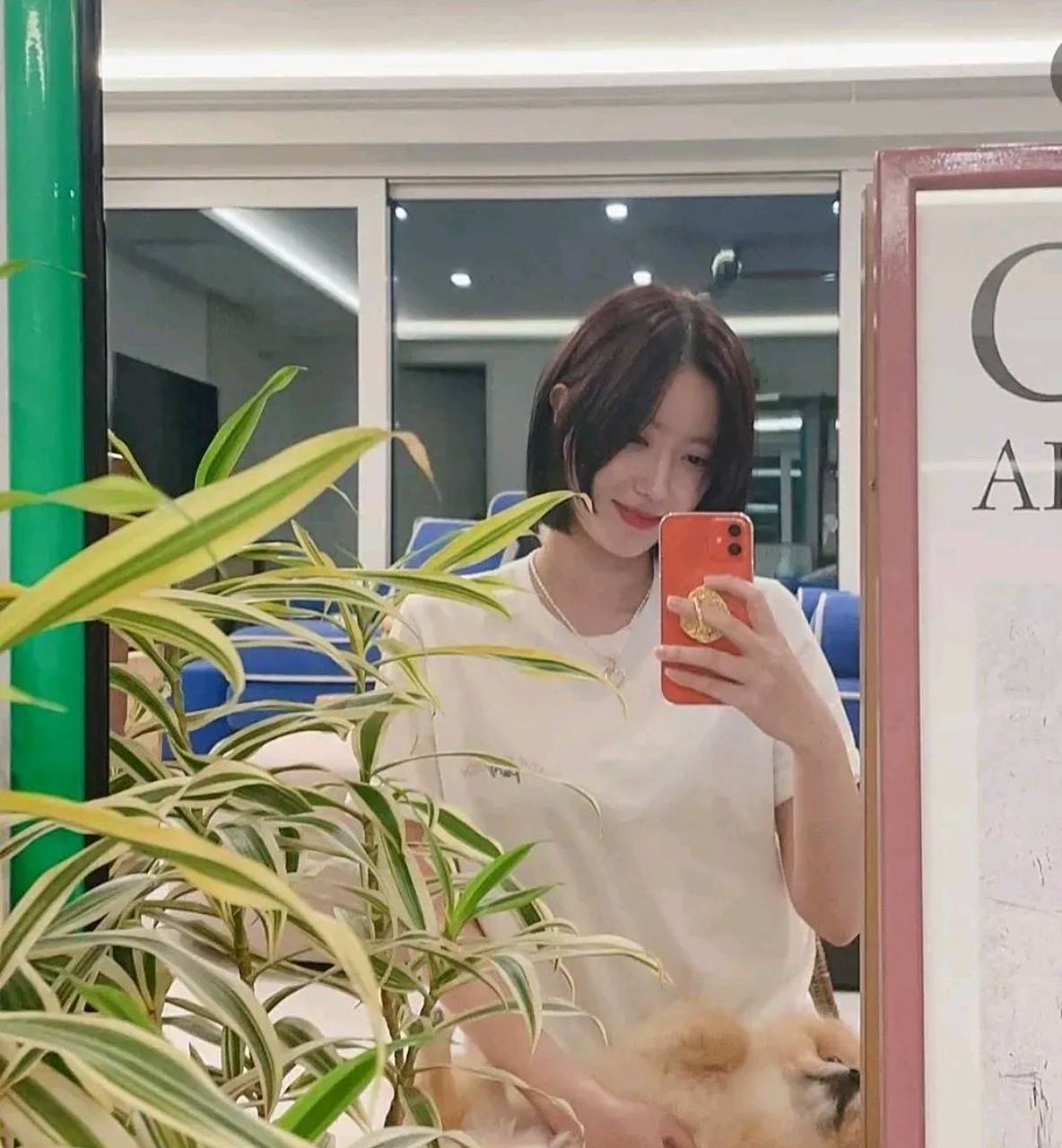 演员林秀香在自己的instagram上写道"因为睡不着,所以看照片回忆过去"