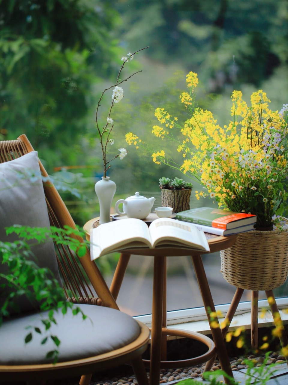 有个这样的的阳台看书喝茶真的很惬意#花草