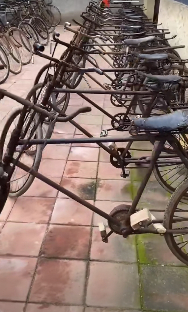 大铁驴,这存的得好几十辆吧!!!!#趣图搞笑# #搞笑内涵图#