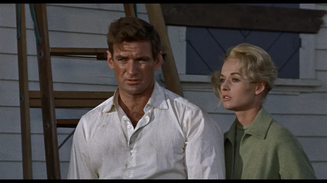 《群鸟》:非典型的希区柯克电影