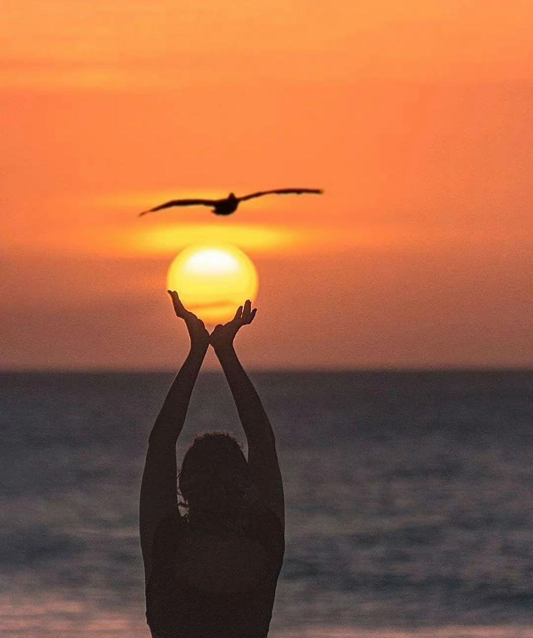 多读书,多运动,让自己的心灵充实而睿智,开朗而乐观.