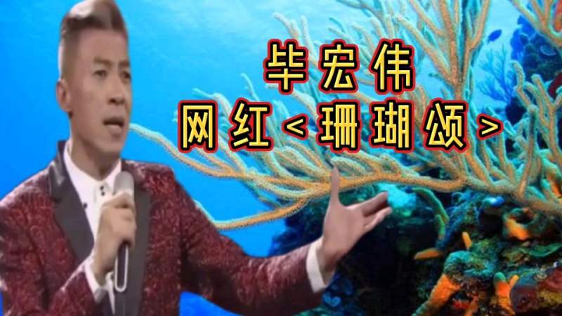 毕宏伟版《珊瑚颂》,网红经典金曲,苍劲有力回味无穷,音乐,流行音乐,好看视频