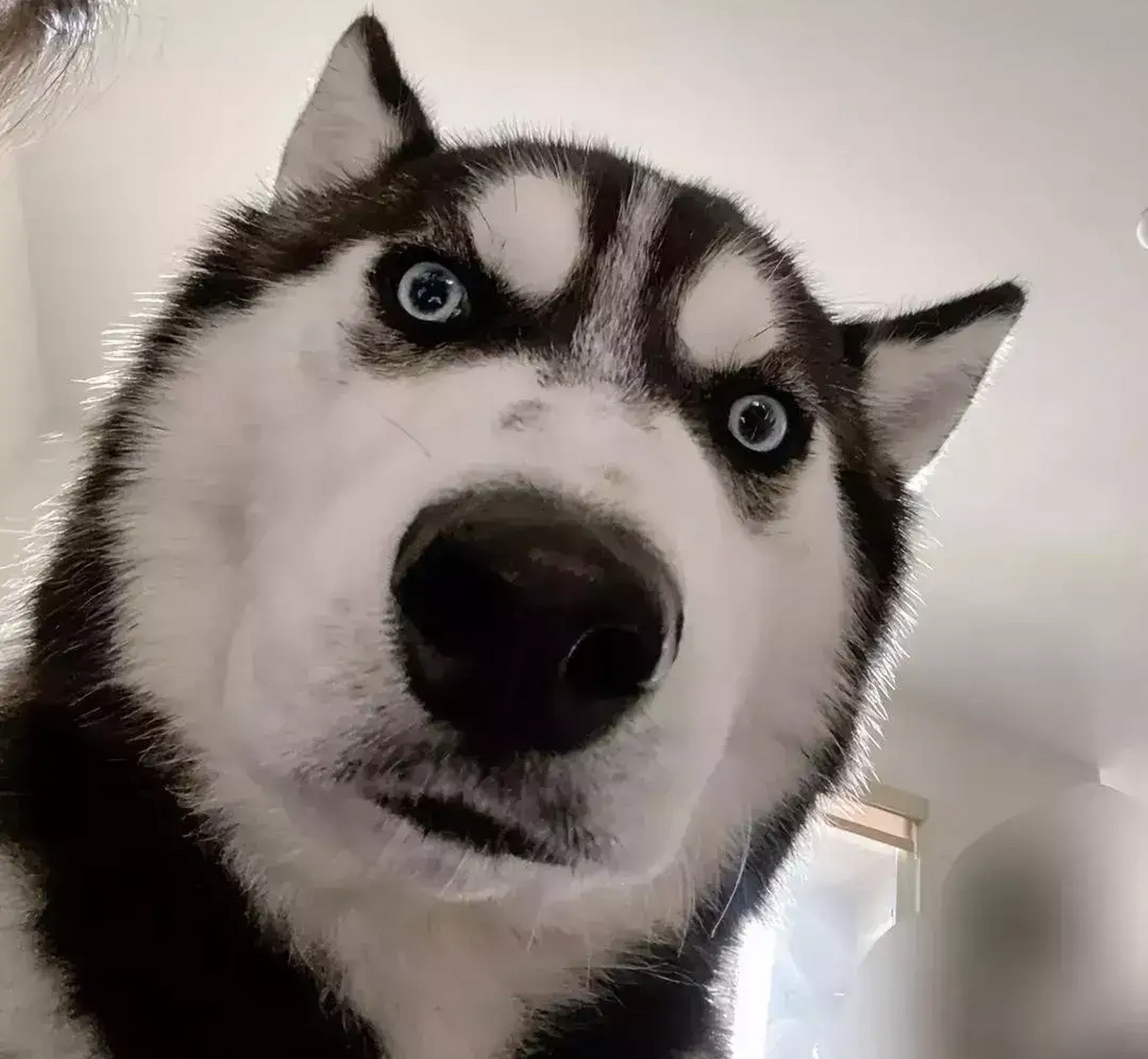 打工狗的30条肺腑之言: 1,工作,没朋友.  2,熟人介绍的工作,尽量别去.