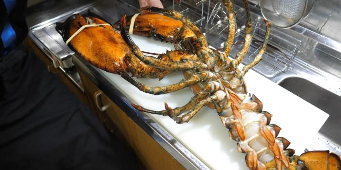 晚餐买只6斤"虾钳",虾钳太大以为亏了,敲开后感觉值了