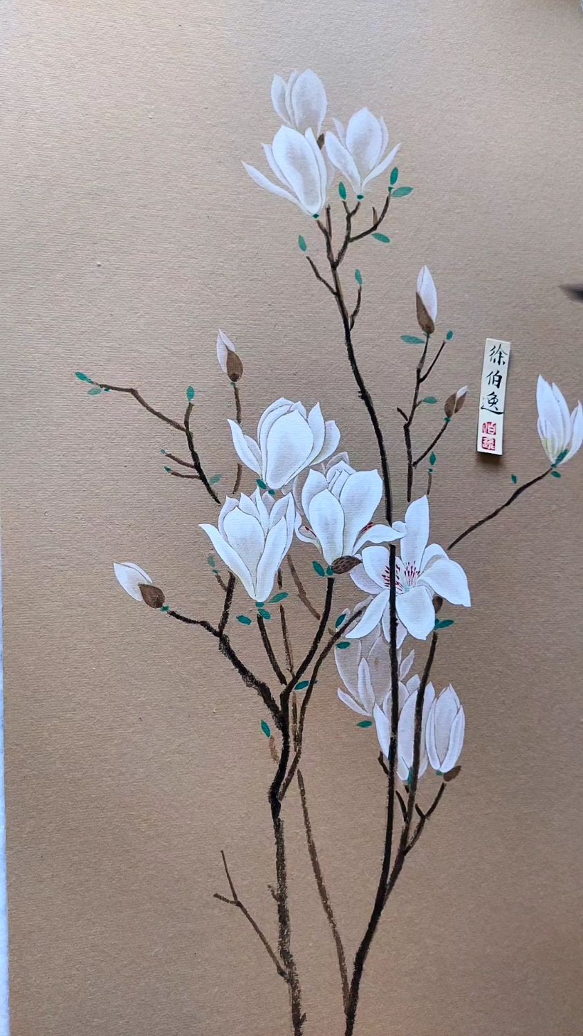 画一只玉带凤蝶