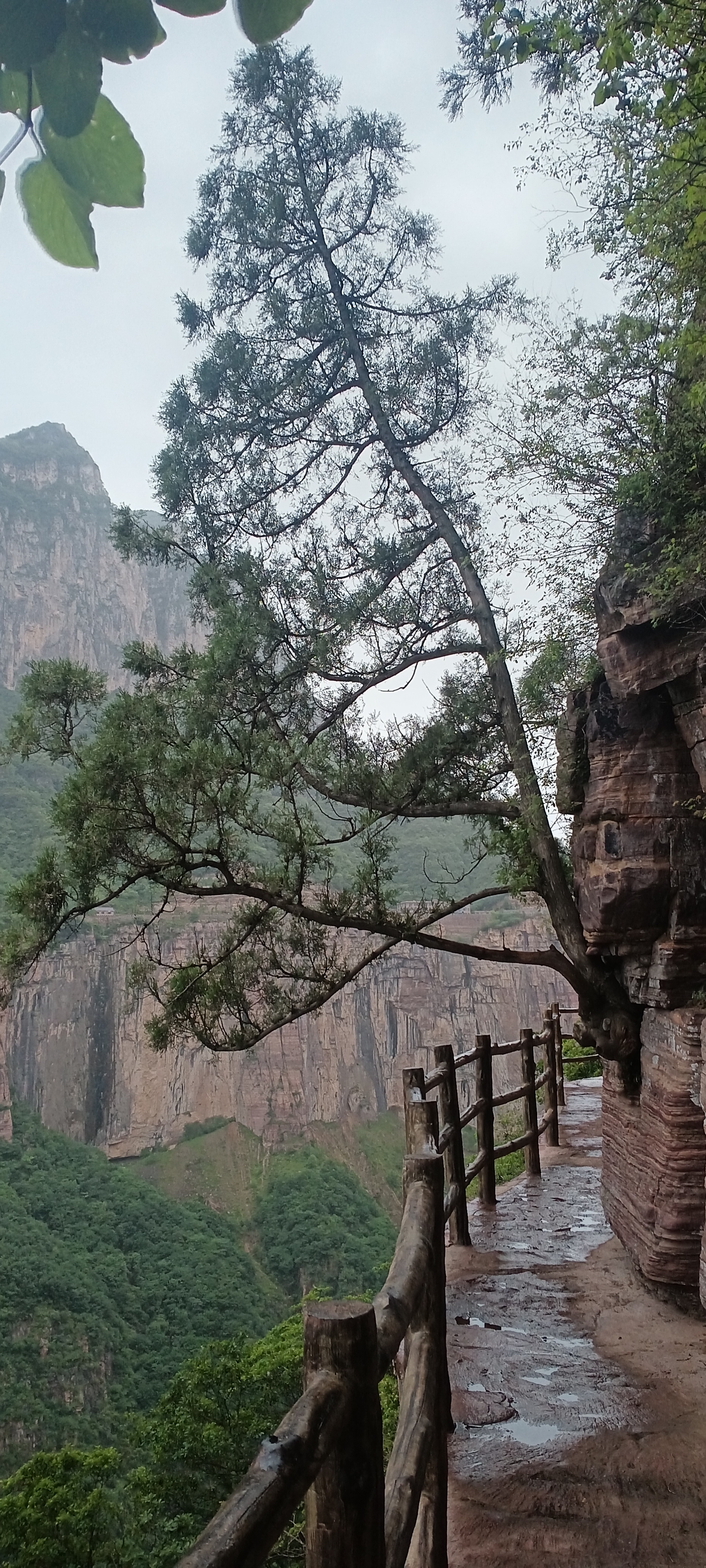 辉县天界山崖上栈道