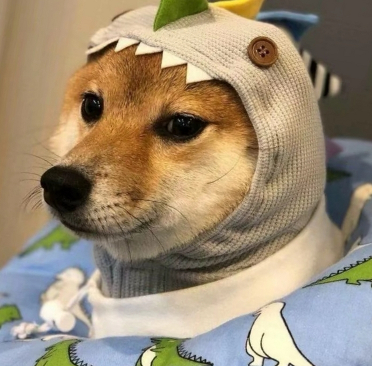 超可爱的狗狗头像