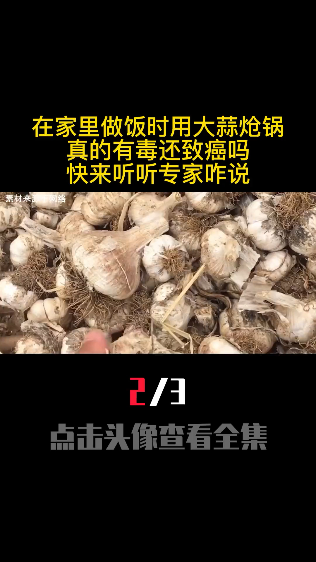 毒大蒜事件图片