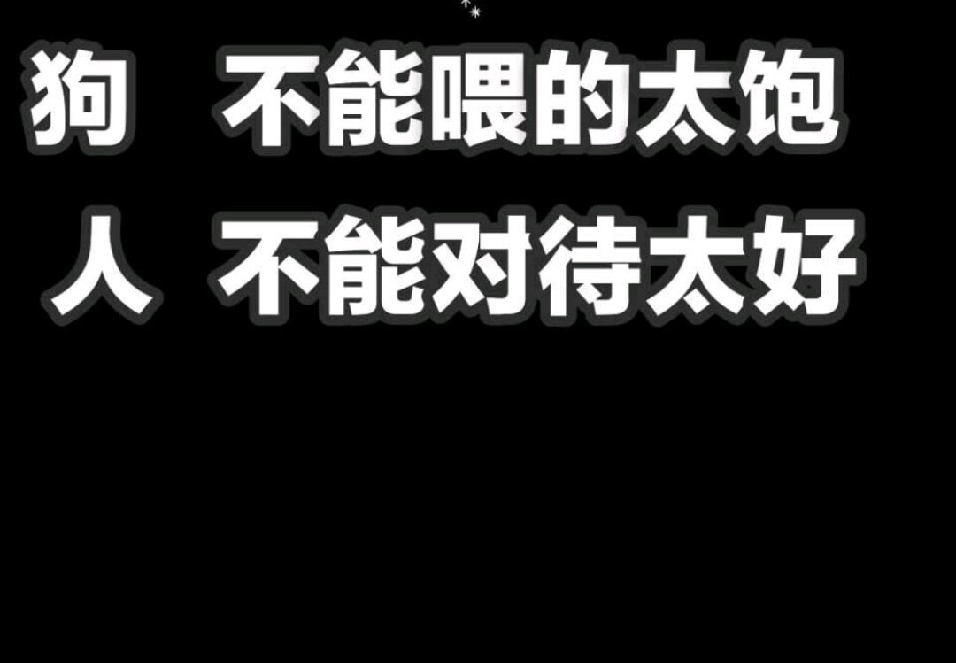 对人不能太好,狗不能喂得太饱!