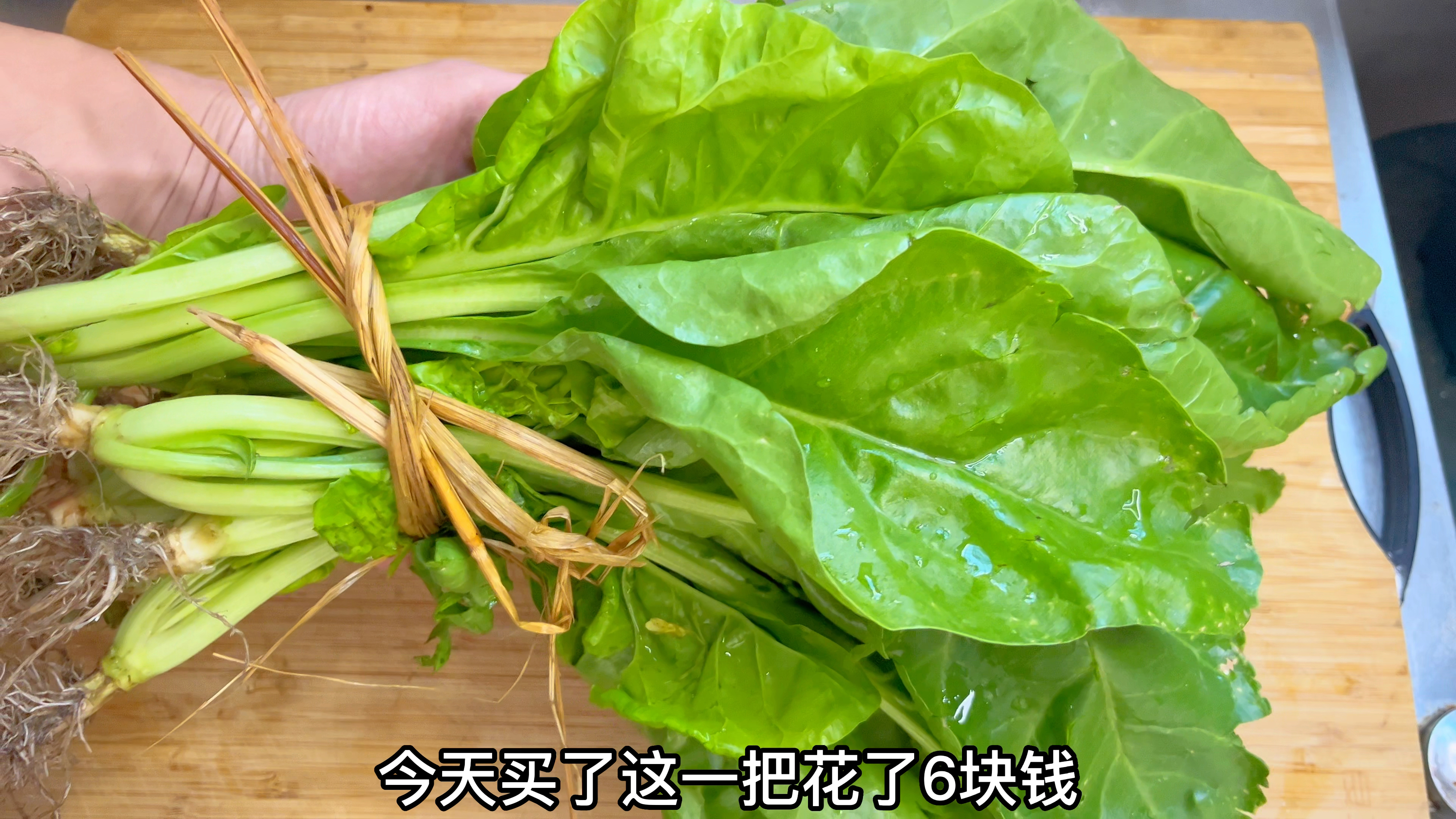 厚合菜也叫牛皮菜,现在正当季,大厨教你潮汕特色做法,鲜嫩好吃
