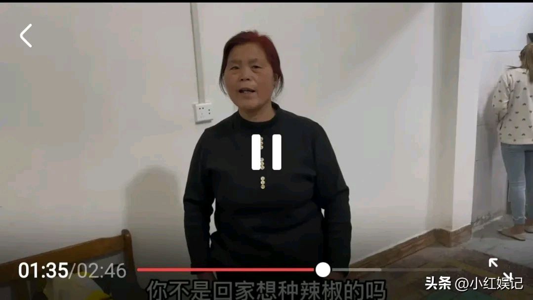 二婚阿杜媳妇李佳怀4胎了