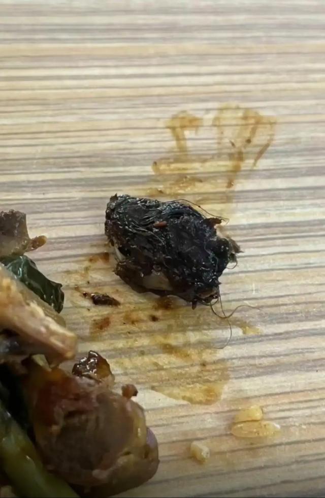 小学吃出白毛兔头?鼠鼠我啊无处不在!