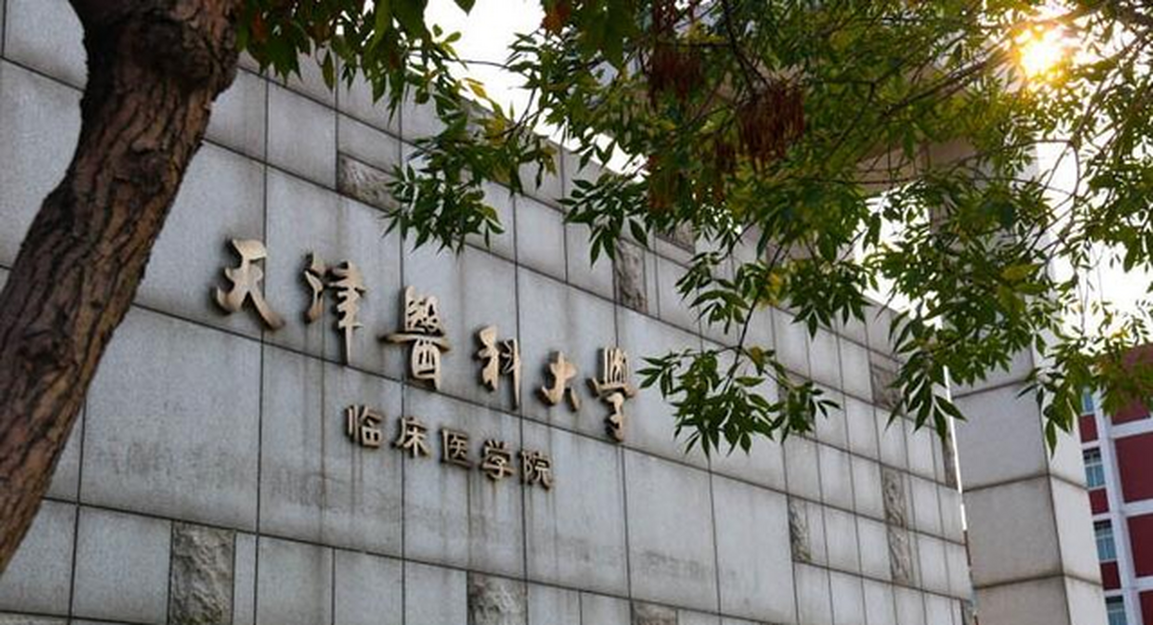 天津医科大学曾是国内唯一一所进入211院校行列的独立医科大学,连北京