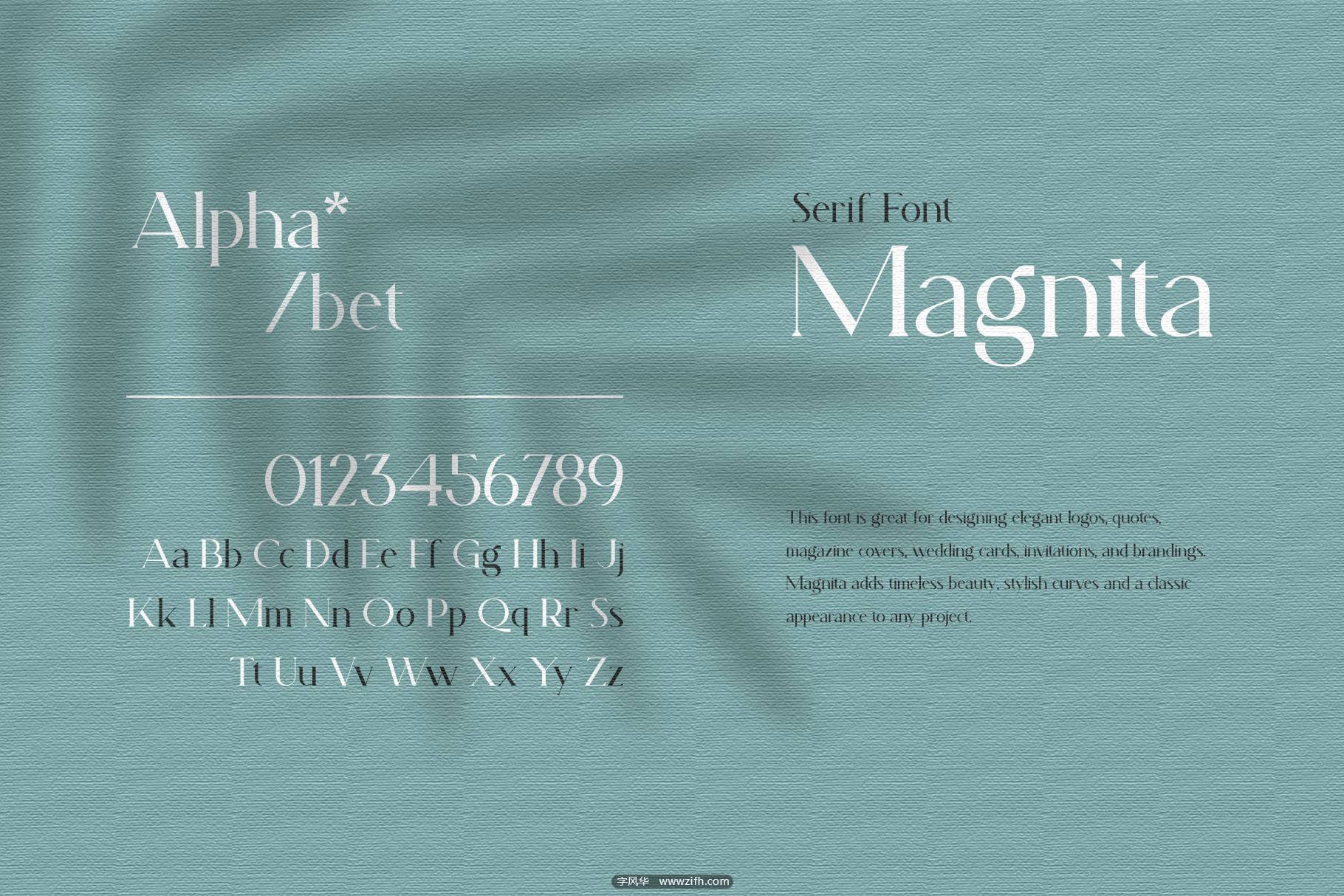 Magnita Font-6.jpg