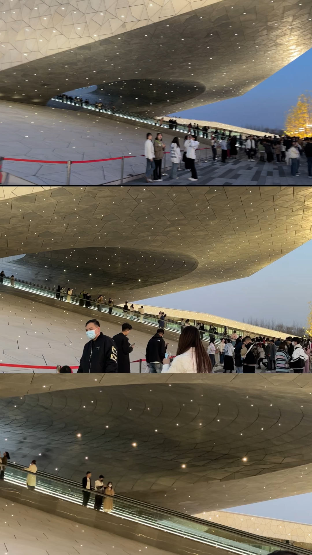 太原植物园夜景