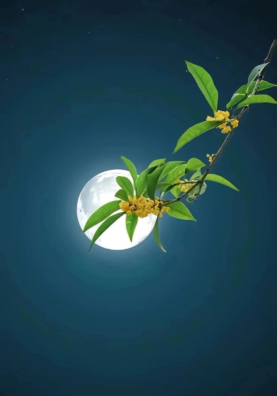 桂花飘香邀明月[月亮] 风送幽香人团圆90 #中秋节晒团圆# #向生活小