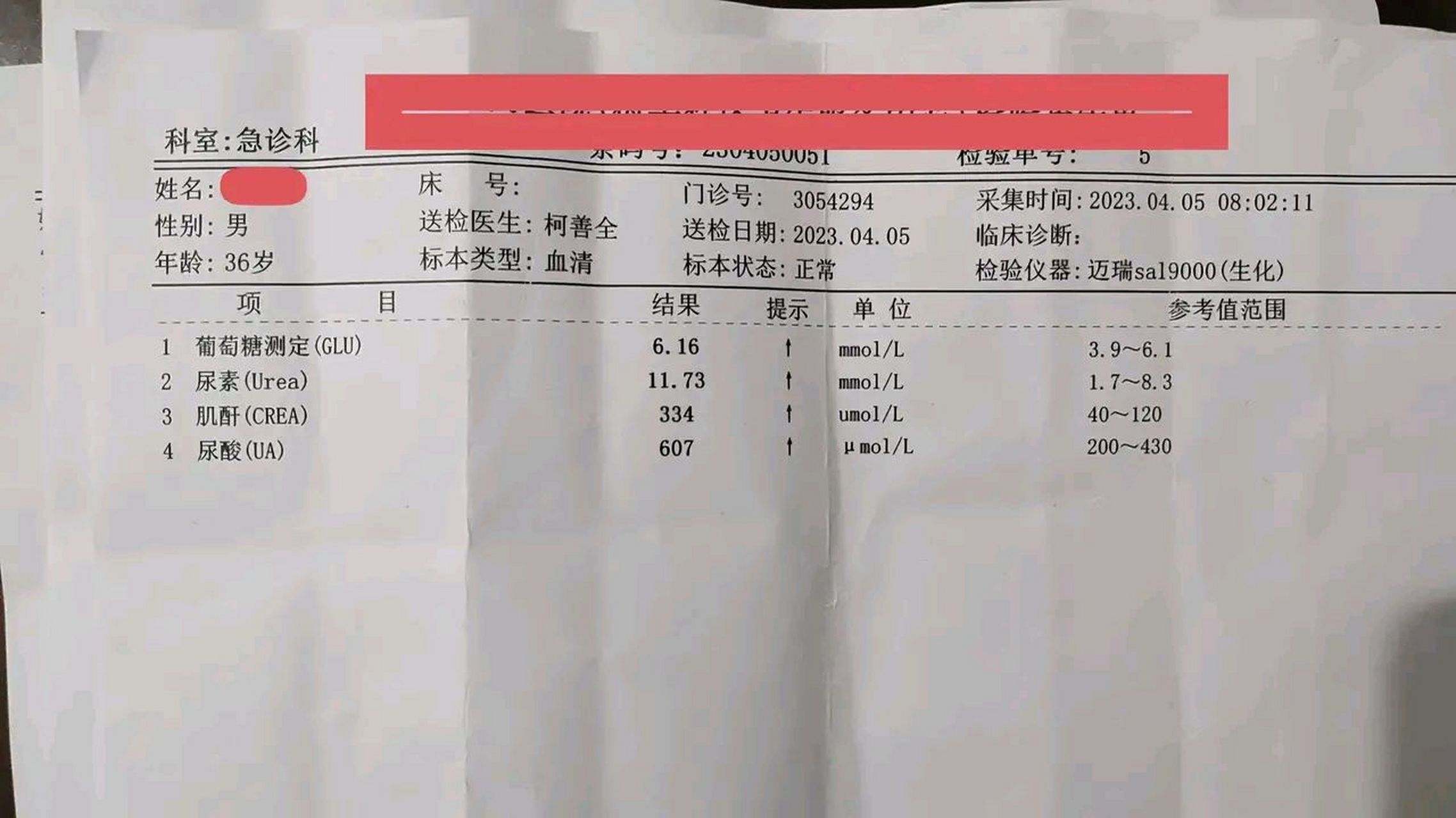 肌酐600图片