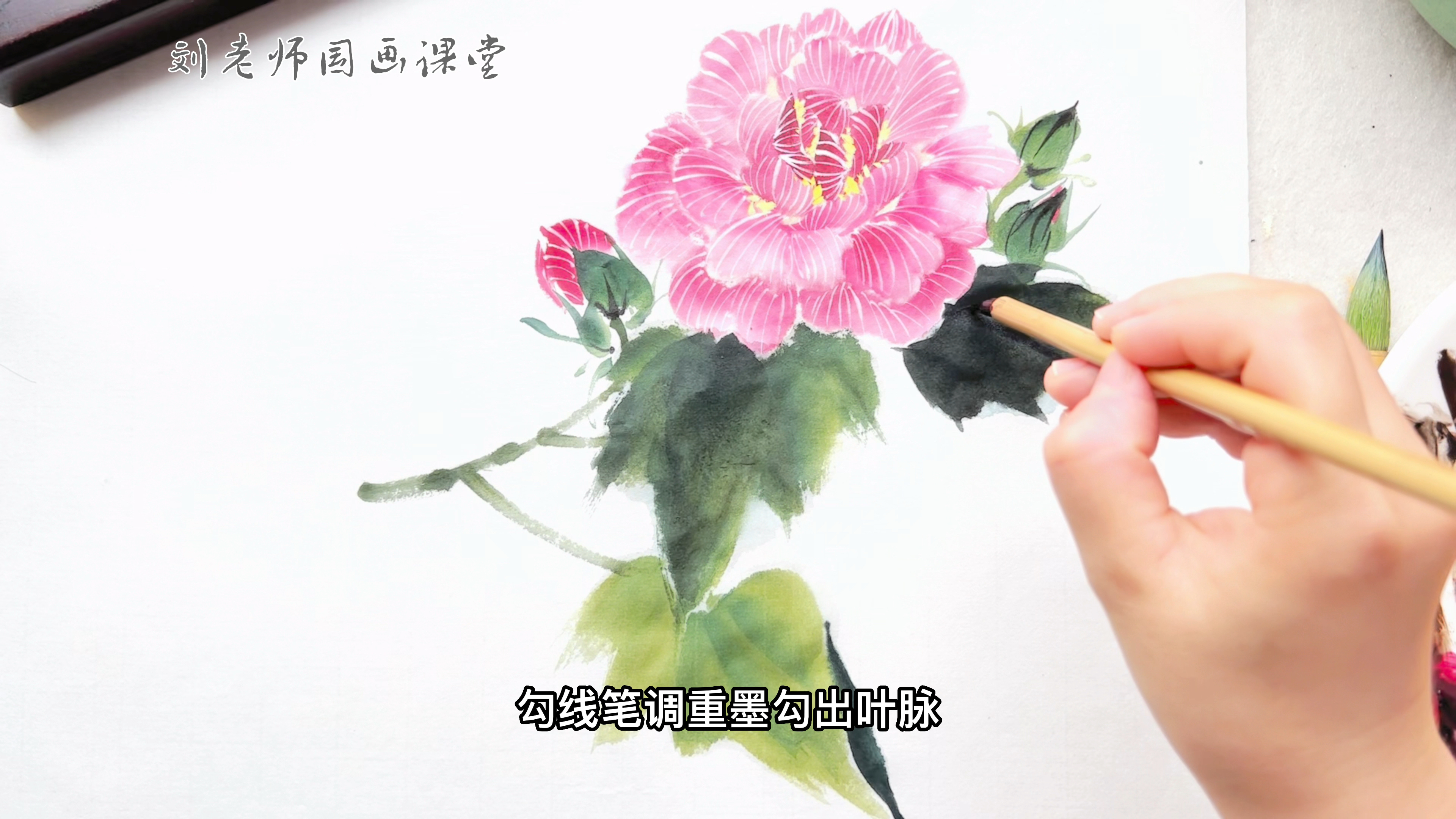 「国画教程」写意芙蓉花的画法