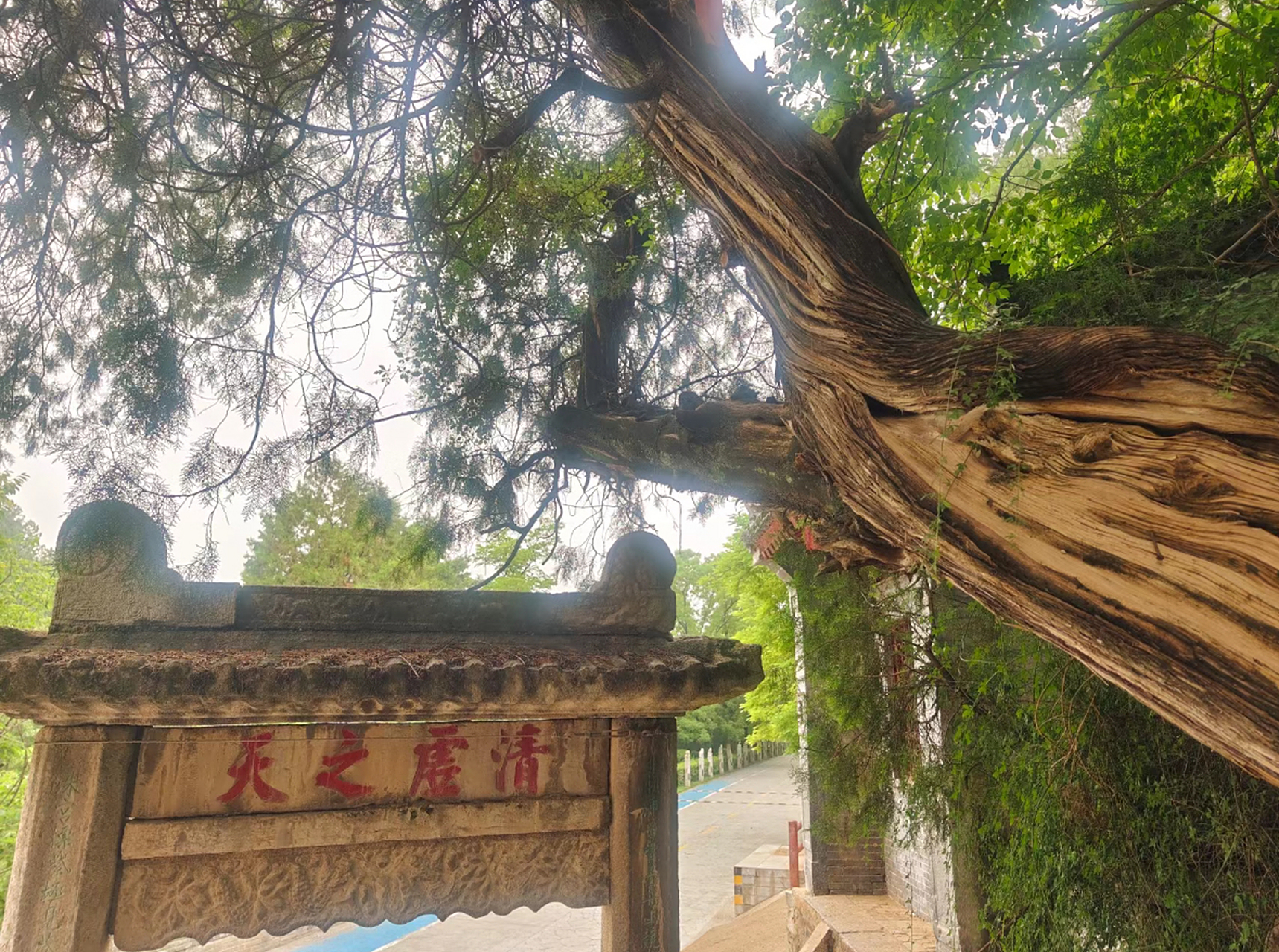 铜川市耀州区的药王山景致很吸引人,尤其是到了节假日,这里上山下山的