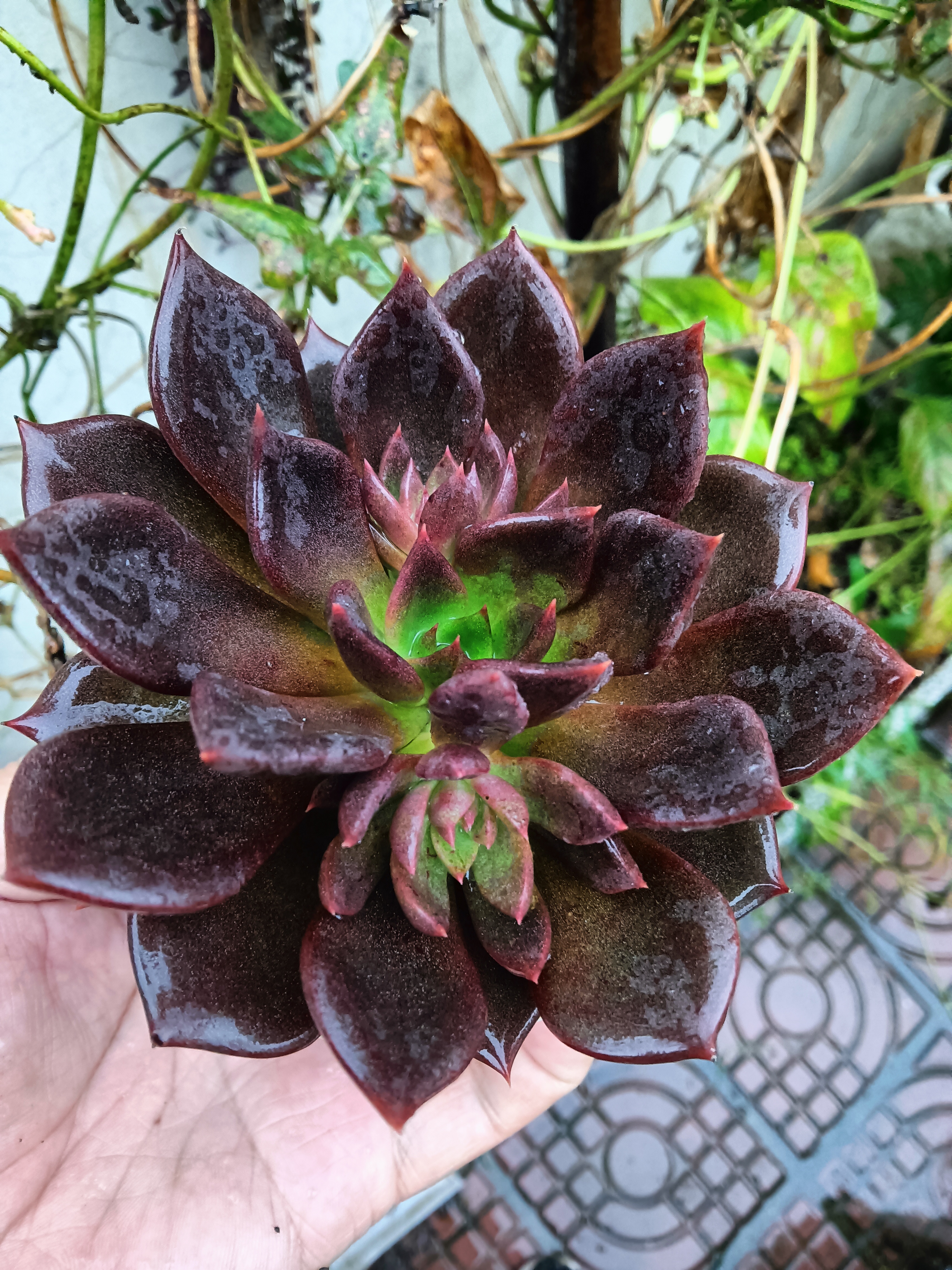 也许是我们多想或太贪了,每一种状态有每种状态的好