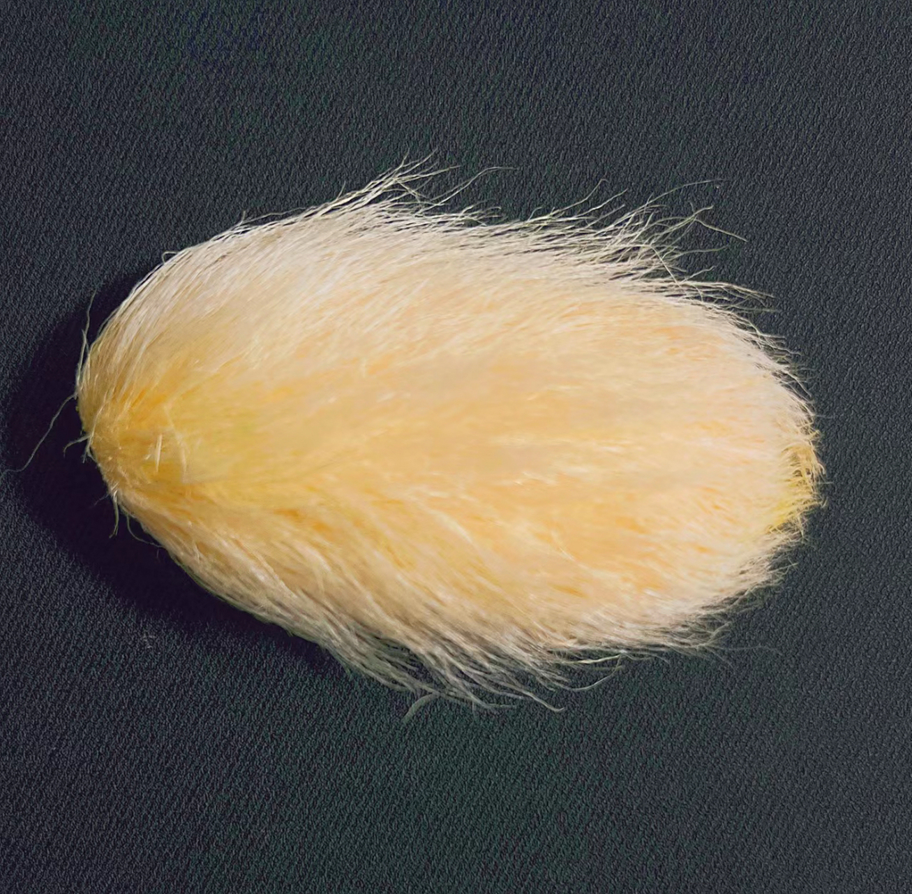 吃完的芒果核不要扔!可以养成小芒狗[比心]