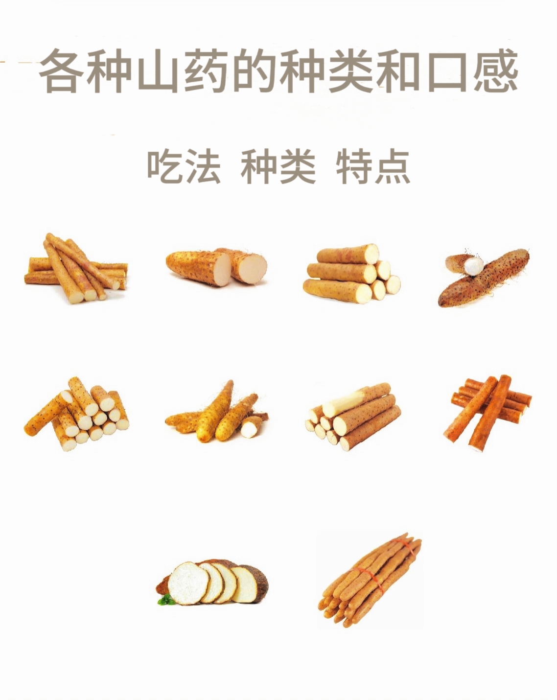 各种山药的种类以及营养价值