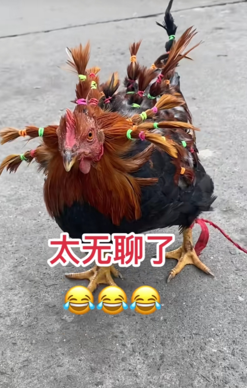 人还是要找个班上才行[左捂脸][左捂脸]#趣图搞笑